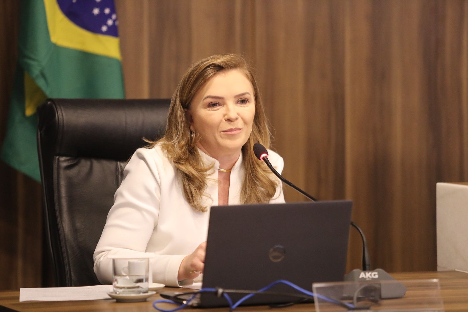 A Christmas Tree image